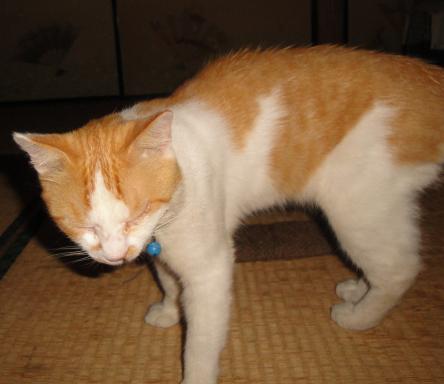 DSC00688.JPG