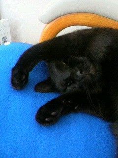 2013080518200001.jpg