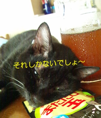 20120809_5.jpg