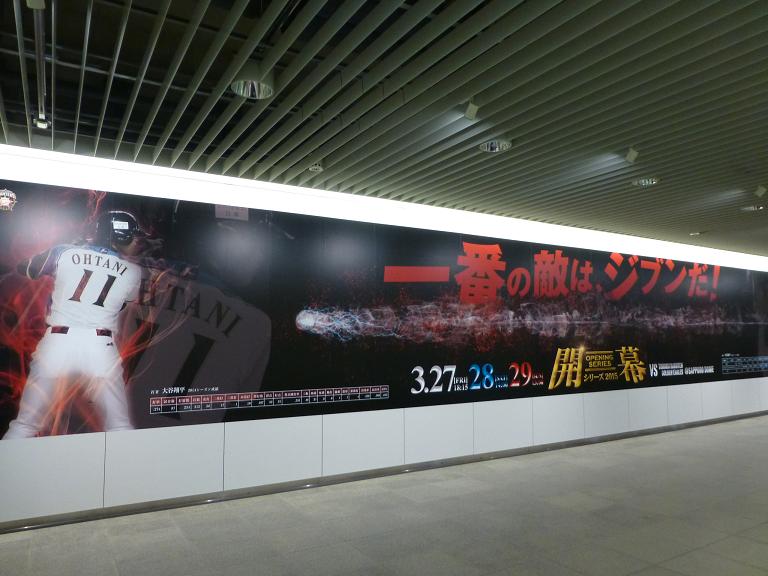 P1190238.jpg