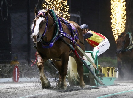 150815【写真-1】ばんえいグランプリ.JPG