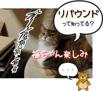 P6170044.png