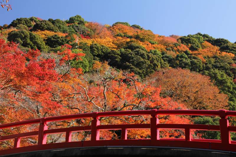 箕面公園_5-2.jpg