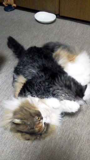 20140530114904.jpg