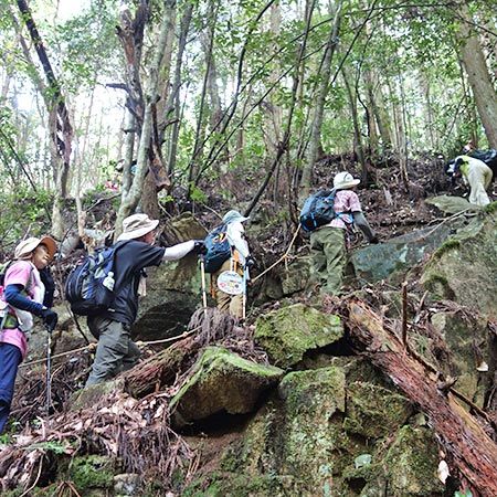 坂山登山（坂歩こう会） | 山屋のページ - 楽天ブログ