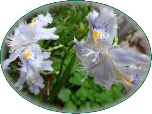 DSC01634.JPG