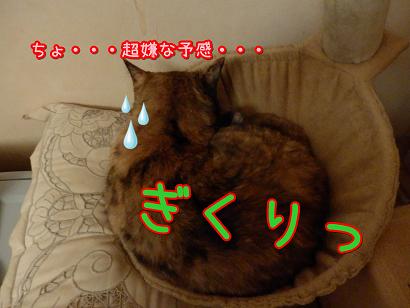 ぎくり.JPG