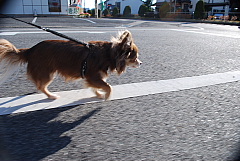 conv0270.JPG