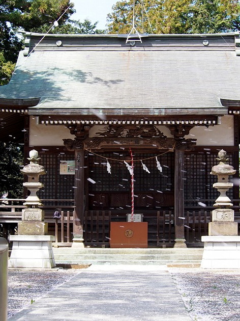 P4090478.jpg