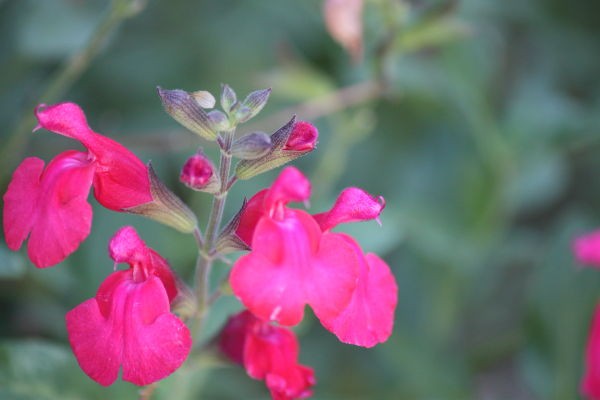 20140927b.JPG