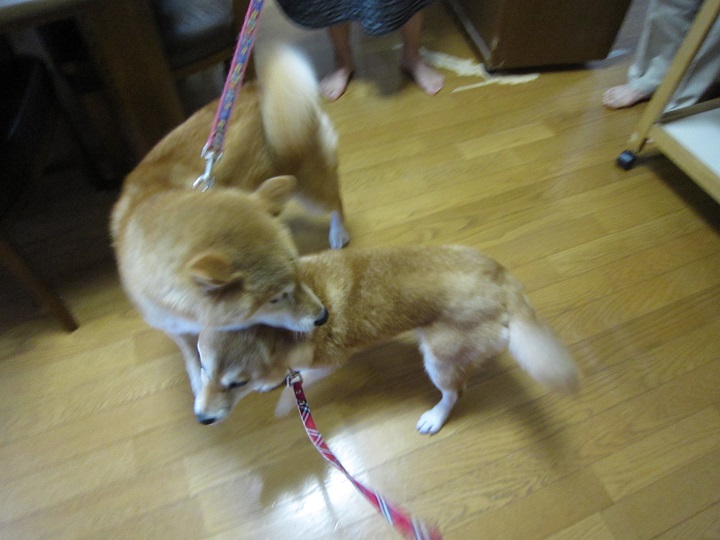 2013.10.1-2.JPG
