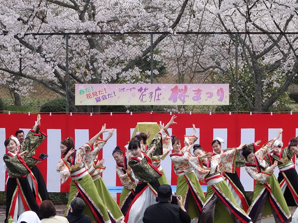 20150402　辻のや花乃庄　桜まつり