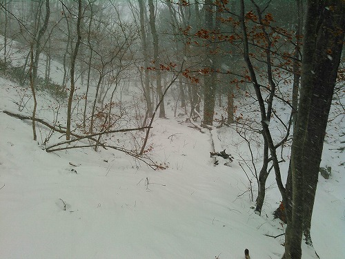 20150214七ツ森遂倉山下山遊歩道.jpg