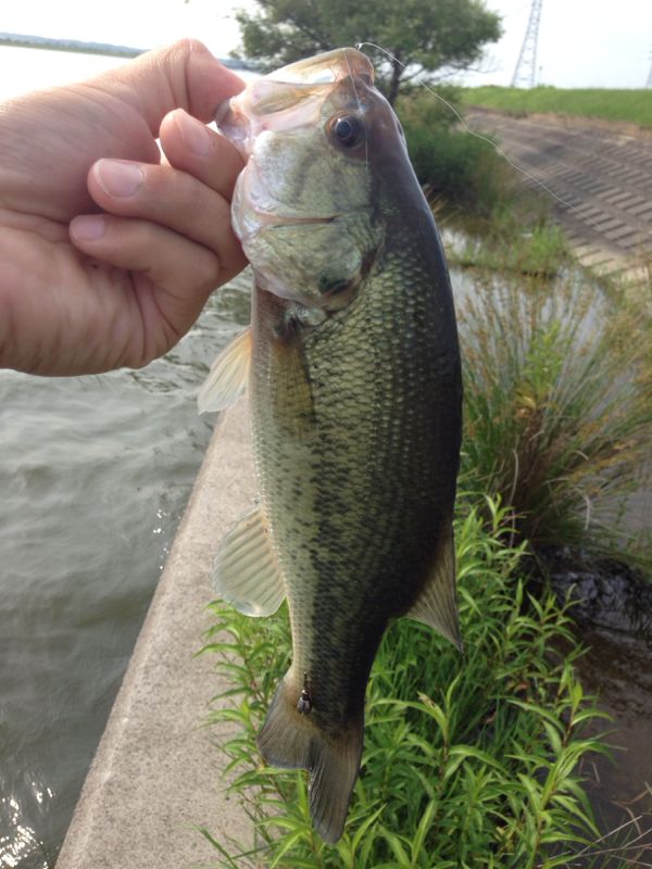 rblog-20140626180448-01.jpg