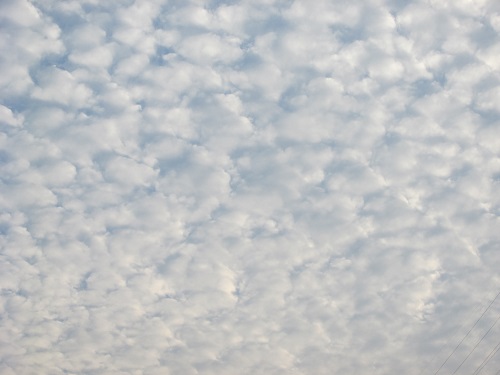 今朝の空