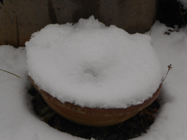 DSCN0880.JPG