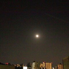 ｽｰﾊﾟｰﾑｰﾝの大阪の夜