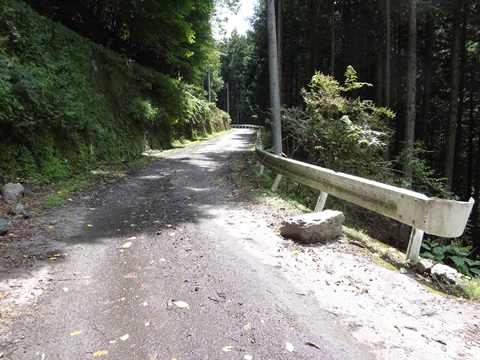 DSC06254.JPG