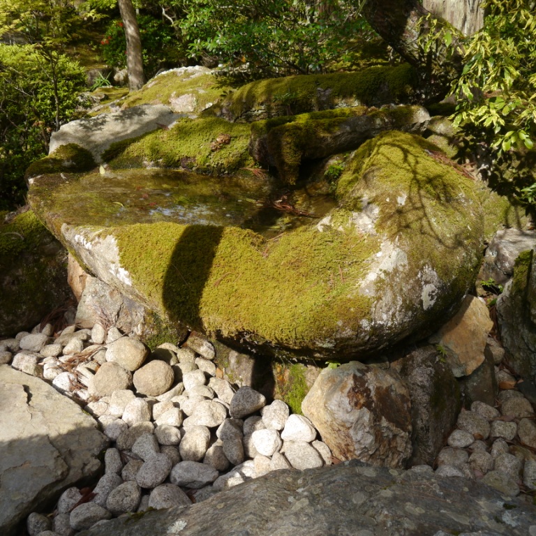 P1070367.JPG