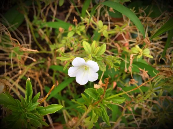 rblog-20150728202854-01.jpg