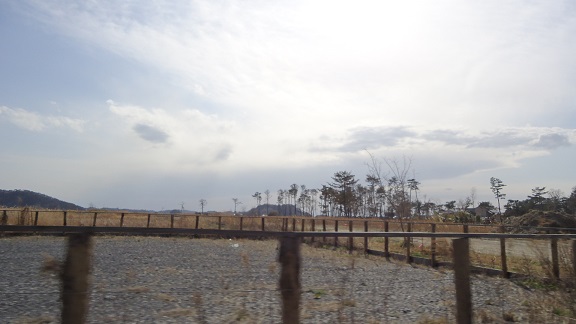 DSC00634-1.jpg