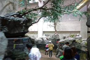 九州722.jpg