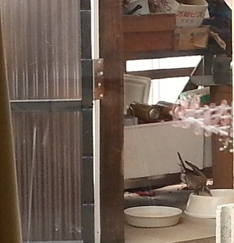 20130222_105439.jpg