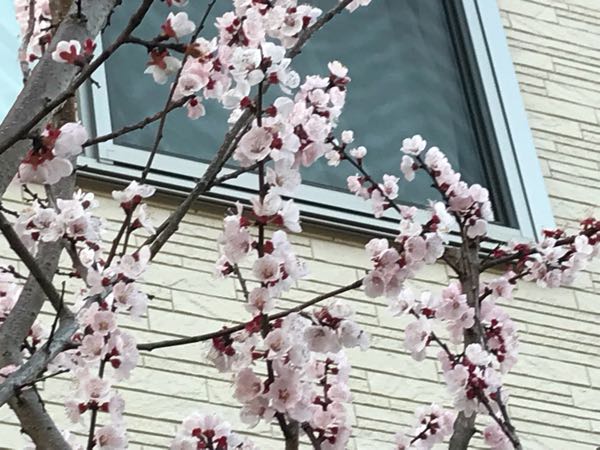 rblog-20180325184946-03.jpg