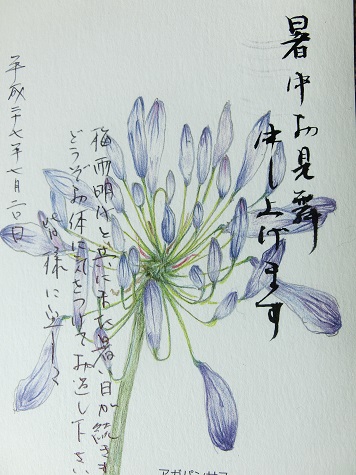 暑中見舞い