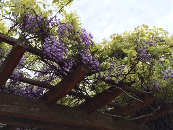 rblog-20160416205115-06.jpg