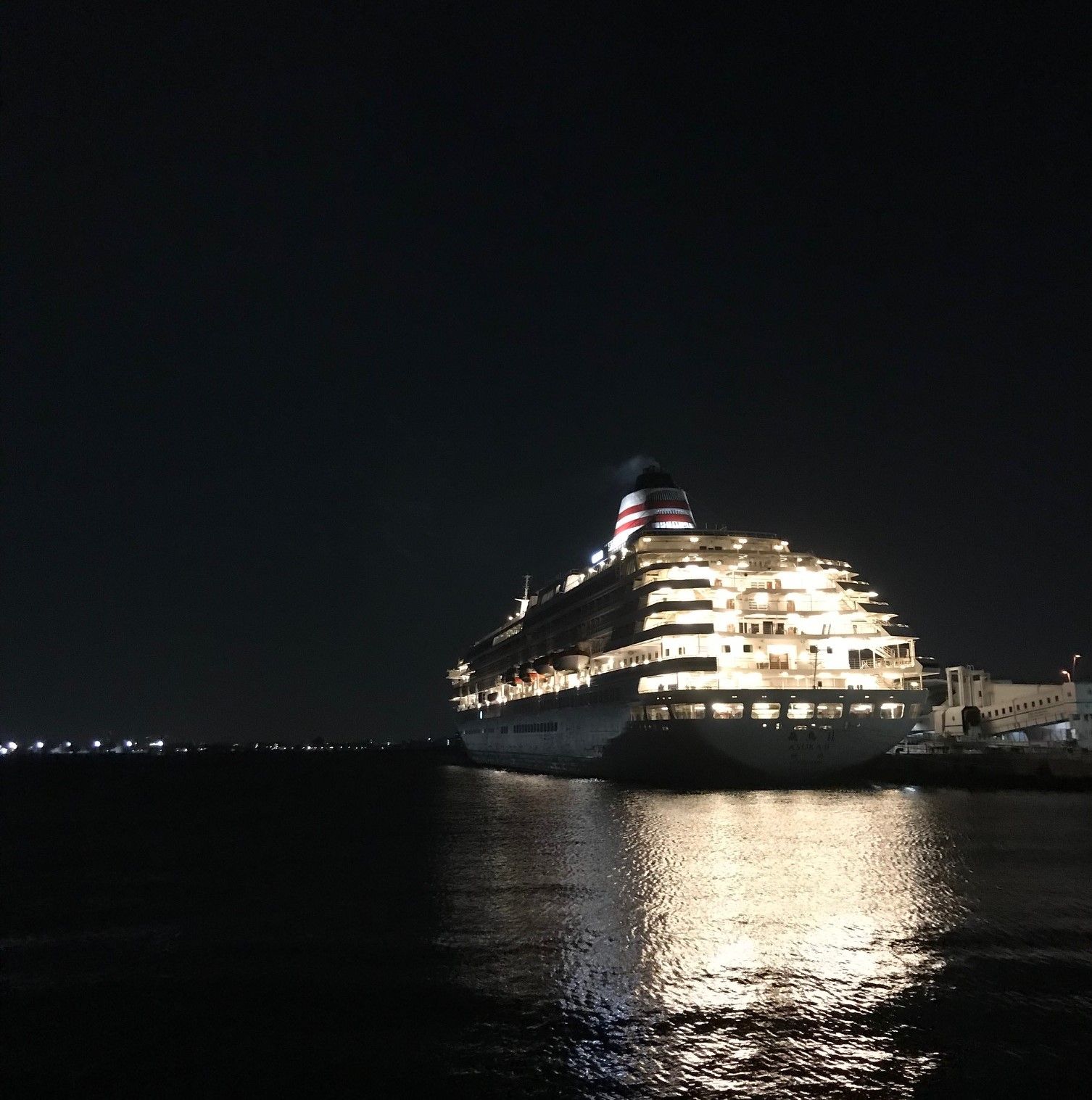 海釣り の記事一覧 神奈川東京釣行記 楽天ブログ