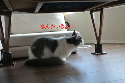 mumu7.jpg