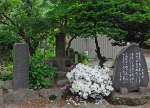 紅101.jpg
