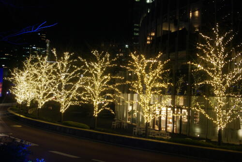 東京ミッドタウンのクリスマスイルミネーション