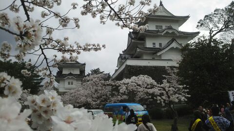 rblog-20150404152205-02.jpg