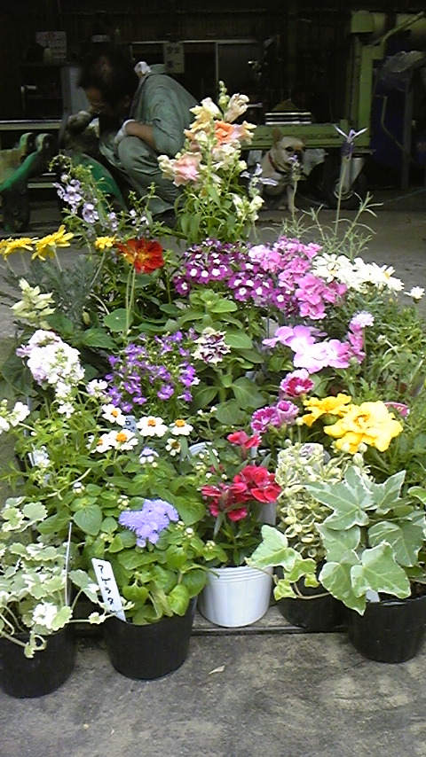 120508_180530.jpg