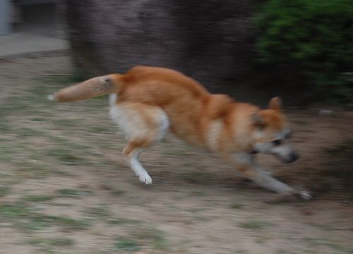 DSC_0069.JPG