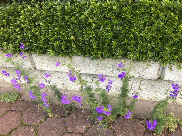 rblog-20180624181305-05.jpg