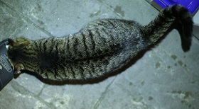 5DA_0773-5.jpg