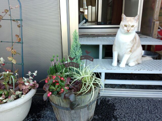 rblog-20141010213150-01.jpg