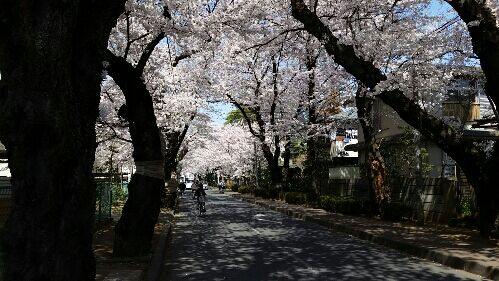 rblog-20150331194119-02.jpg