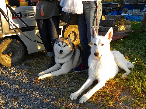 13-10-13　野焼祭3