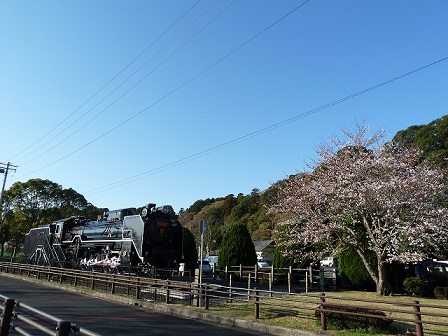 2013.3.26 018.JPG
