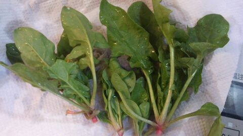 rblog-20140330085541-02.jpg