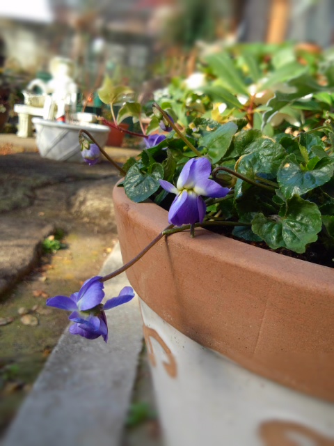 DCIM0363.jpg