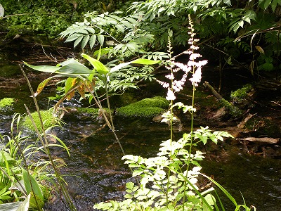 DSCN6254.jpg
