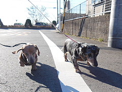 conv0048.JPG