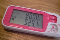 CIMG8868.JPG