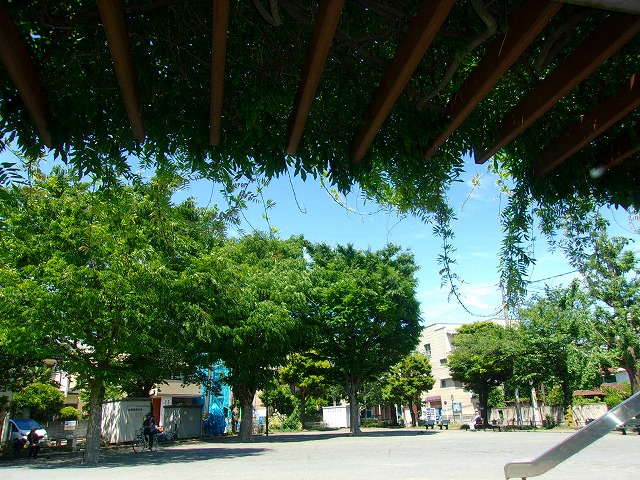 100_3963.jpg