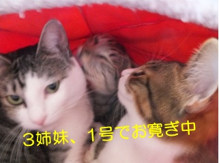 20121025_4.jpg